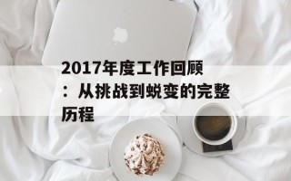 2017年度工作回顾：从挑战到蜕变的完整历程