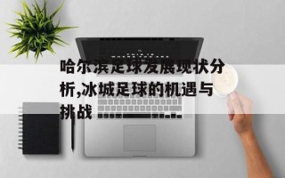 哈尔滨足球发展现状分析,冰城足球的机遇与挑战