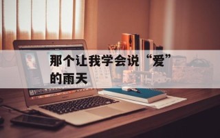 那个让我学会说“爱”的雨天