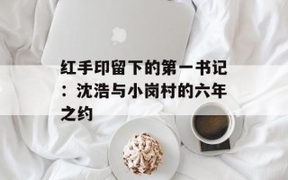 红手印留下的第一书记：沈浩与小岗村的六年之约