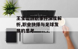 王宝山辞职事件深度解析,职业抉择与足球发展的思考