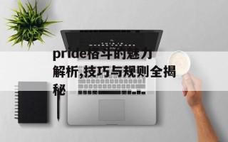 pride格斗的魅力解析,技巧与规则全揭秘