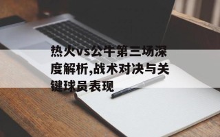 热火vs公牛第三场深度解析,战术对决与关键球员表现