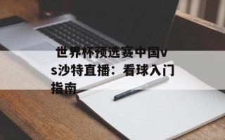  世界杯预选赛中国vs沙特直播：看球入门指南