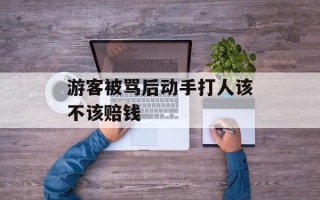 游客被骂后动手打人该不该赔钱