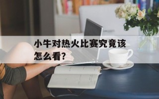小牛对热火比赛究竟该怎么看？