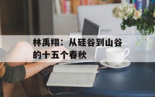林禹翔：从硅谷到山谷的十五个春秋