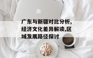 广东与新疆对比分析,经济文化差异解读,区域发展路径探讨