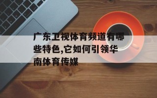 广东卫视体育频道有哪些特色,它如何引领华南体育传媒