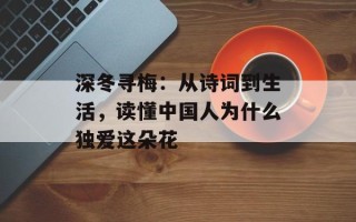 深冬寻梅：从诗词到生活，读懂中国人为什么独爱这朵花