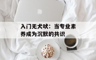 入门无犬吠：当专业素养成为沉默的共识