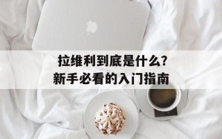  拉维利到底是什么？新手必看的入门指南