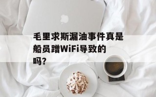 毛里求斯漏油事件真是船员蹭WiFi导致的吗？