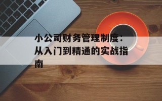 小公司财务管理制度：从入门到精通的实战指南
