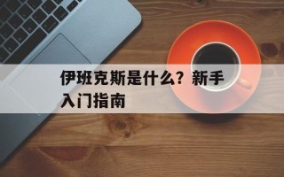 伊班克斯是什么？新手入门指南