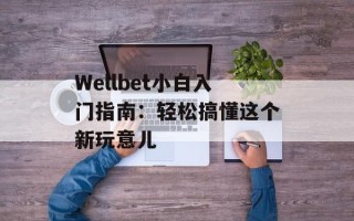 Wellbet小白入门指南：轻松搞懂这个新玩意儿