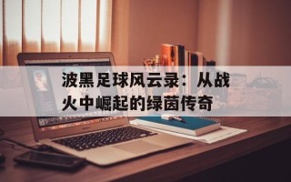 波黑足球风云录：从战火中崛起的绿茵传奇