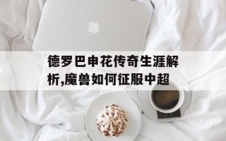 德罗巴申花传奇生涯解析,魔兽如何征服中超