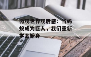 微观世界观后感：当蚂蚁成为巨人，我们重新学会俯身