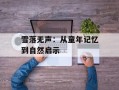 雪落无声：从童年记忆到自然启示