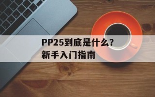 PP25到底是什么？新手入门指南