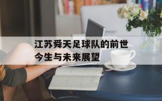 江苏舜天足球队的前世今生与未来展望