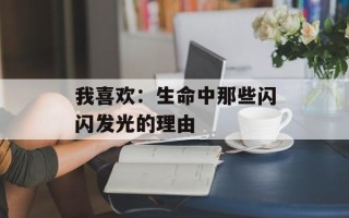 我喜欢：生命中那些闪闪发光的理由