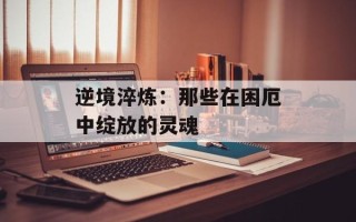 逆境淬炼：那些在困厄中绽放的灵魂