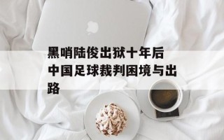 黑哨陆俊出狱十年后 中国足球裁判困境与出路