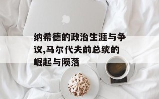 纳希德的政治生涯与争议,马尔代夫前总统的崛起与陨落