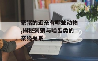 豪猪的近亲有哪些动物,揭秘刺猬与啮齿类的亲缘关系
