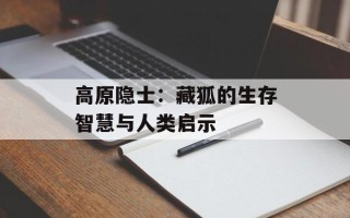 高原隐士：藏狐的生存智慧与人类启示
