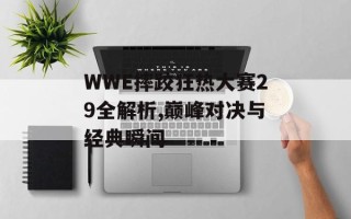 WWE摔跤狂热大赛29全解析,巅峰对决与经典瞬间