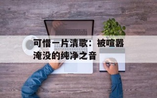 可惜一片清歌：被喧嚣淹没的纯净之音