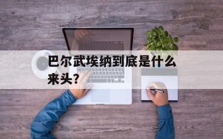 巴尔武埃纳到底是什么来头？