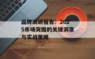 品牌调研报告：2025市场突围的关键洞察与实战策略
