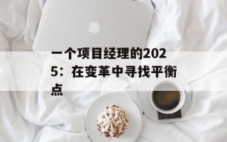 一个项目经理的2025：在变革中寻找平衡点