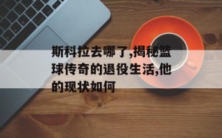 斯科拉去哪了,揭秘篮球传奇的退役生活,他的现状如何
