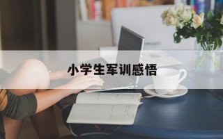 小学生军训感悟