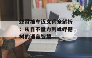 螳臂挡车近义词全解析：从自不量力到蚍蜉撼树的语言智慧