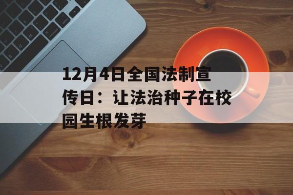 12月4日全国法制宣传日:让法治种子在校园生根发芽-第1张图片- 12月4日全国法制宣传日:让法治种子在校园生根发芽-第1张图片-