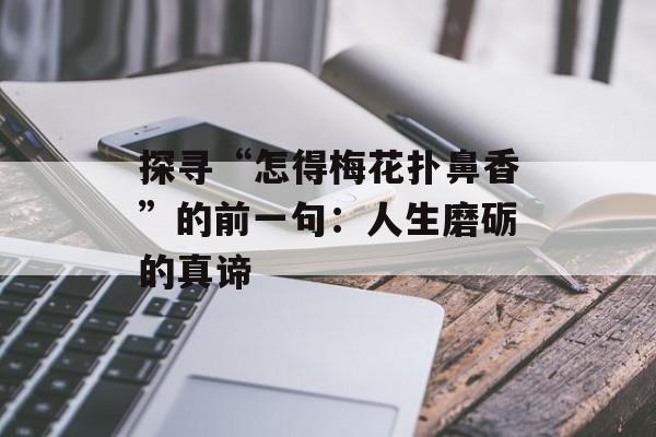 探寻“怎得梅花扑鼻香”的前一句:人生磨砺的真谛-第1张图片- 探寻“怎得梅花扑鼻香”的前一句:人生磨砺的真谛-第1张图片-