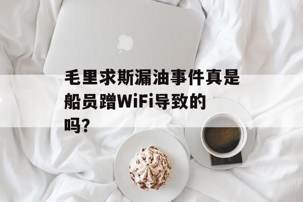 毛里求斯漏油事件真是船员蹭WiFi导致的吗？-第1张图片-