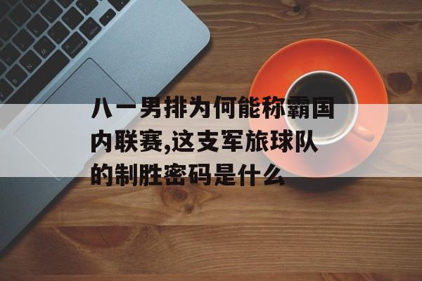 八一男排为何能称霸国内联赛,这支军旅球队的制胜密码是什么-第1张图片- 八一男排为何能称霸国内联赛,这支军旅球队的制胜密码是什么-第1张图片-