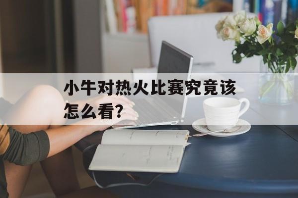 小牛对热火比赛究竟该怎么看？-第1张图片-