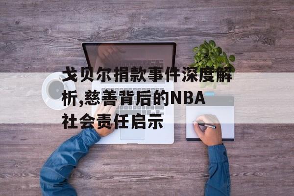 戈贝尔捐款事件深度解析,慈善背后的NBA社会责任启示-第1张图片- 戈贝尔捐款事件深度解析,慈善背后的NBA社会责任启示-第1张图片-