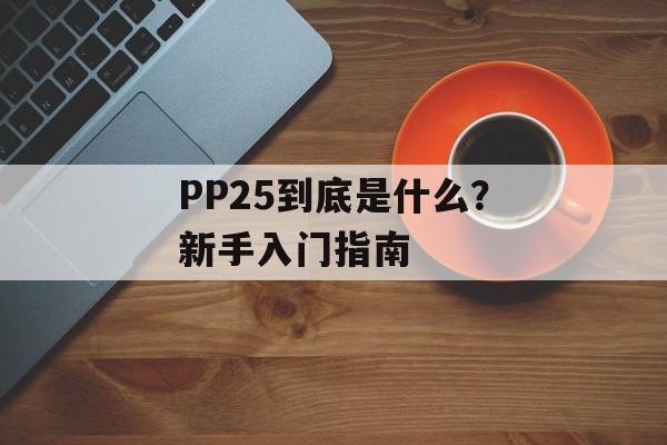 PP25到底是什么?新手入门指南-第1张图片- PP25到底是什么?新手入门指南-第1张图片-