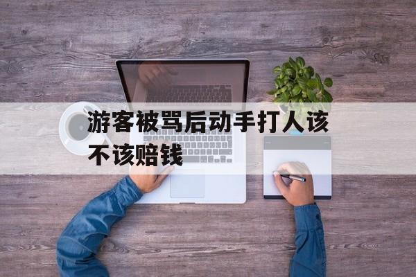 游客被骂后动手打人该不该赔钱-第1张图片-