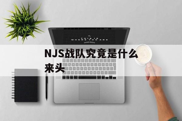NJS战队究竟是什么来头-第1张图片- NJS战队究竟是什么来头-第1张图片-