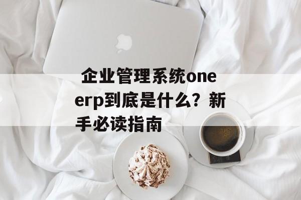  企业管理系统oneerp到底是什么？新手必读指南-第1张图片-